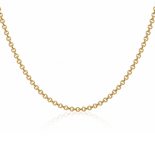 9k yellow gold 3.00mm hollow rolo belcher chain (45cm)