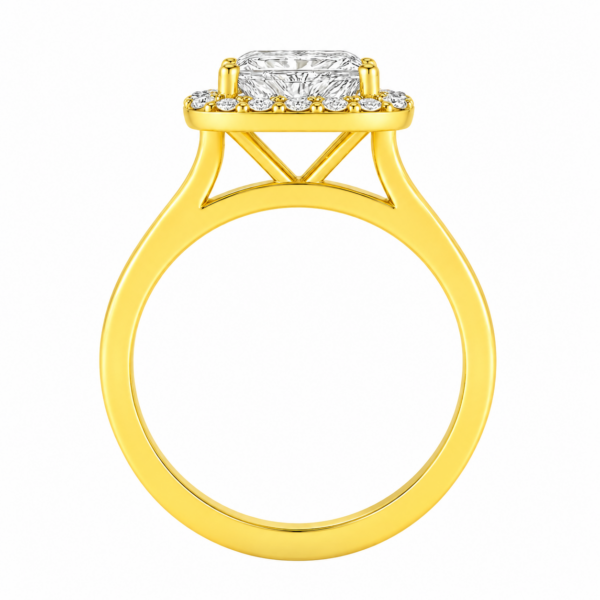 0.50ct Natural Princess Halo Solitaire Engagement Ring