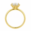 0.50ct Natural Pear Halo Solitaire Engagement Ring